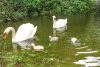 pêcher au bord de la Seine